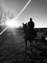 Horse and rider (Credit: Fran Villeneuve, 2018)